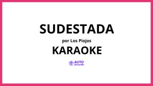 Los Piojos - Sudestada KARAOKE (tono original)