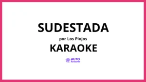 Los Piojos - Sudestada KARAOKE (tono original)