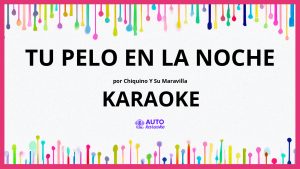 Chiquino y Su Maravilla - Tu pelo en la noche KARAOKE (tono original)