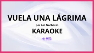 Los Nocheros - Vuela Una Lágrima KARAOKE (tono original)