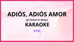 Nestor En Bloque - Adiós, Adiós Amor KARAOKE (tono original)