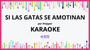 Peipper - Si Las Gatas Se Amotinan KARAOKE (tono original)