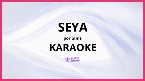 GIMS - Seya KARAOKE (tono original)