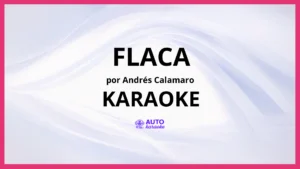 Andrés Calamaro - Flaca KARAOKE (tono original)