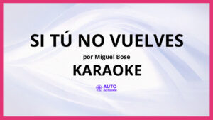 Miguel Bose - Si tú no vuelves KARAOKE (tono original)
