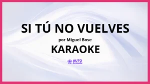 Miguel Bose - Si tú no vuelves KARAOKE (tono original)