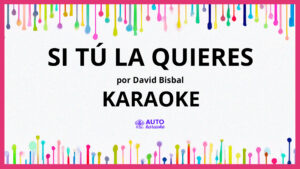 David Bisbal - Si Tú La Quieres KARAOKE (tono original)