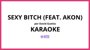 David Guetta - Sexy Bitch (feat. Akon) KARAOKE (tono original)