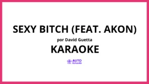 David Guetta - Sexy Bitch (feat. Akon) KARAOKE (tono original)