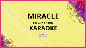 Calvin Harris - Miracle KARAOKE (tono original)