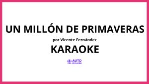 Vicente Fernández - Un Millón de Primaveras KARAOKE (tono original)