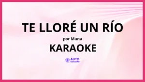 Mana - Te Lloré Un Río KARAOKE (tono original)