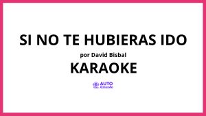 David Bisbal - Si No Te Hubieras Ido KARAOKE (tono original)