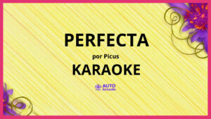 Picus - Perfecta KARAOKE (tono original)
