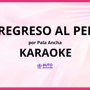 Pala Ancha - De Regreso Al Penal KARAOKE (tono original)