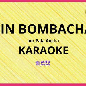 Pala Ancha - Sin Bombacha KARAOKE (tono original)