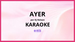 DJ Nelson - Ayer KARAOKE (tono original)