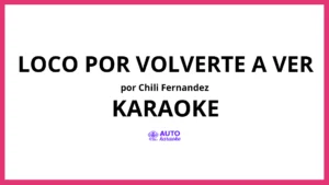 Chili Fernandez - Loco por Volverte a Ver KARAOKE (tono original)