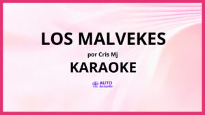 Cris Mj - Los Malvekes KARAOKE (tono original)