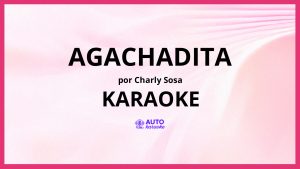 Charly Sosa - Agachadita KARAOKE (tono original)