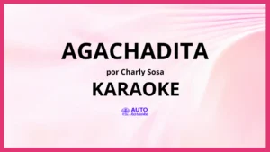 Charly Sosa - Agachadita KARAOKE (tono original)