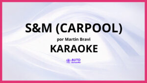 Martin Bravi - S&M (Carpool) KARAOKE (tono original)