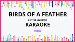 The Seungmin - Birds of a Feather KARAOKE (tono original)
