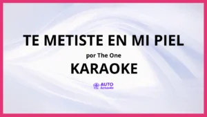 The One - Te Metiste en Mi Piel KARAOKE (tono original)