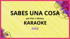 Pilar Y Monica - Sabes una Cosa KARAOKE (tono original)