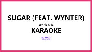 Flo Rida - Sugar (feat. Wynter) KARAOKE (tono original)