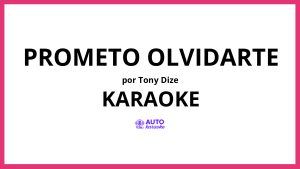 Tony Dize - Prometo Olvidarte KARAOKE (tono original)