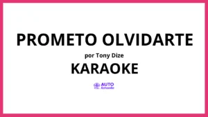 Tony Dize - Prometo Olvidarte KARAOKE (tono original)