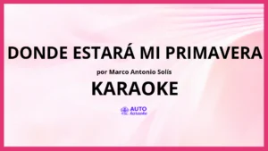 Marco Antonio Solís - Donde Estará Mi Primavera KARAOKE (tono original)