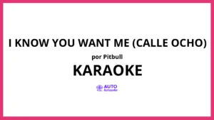 Pitbull - I Know You Want Me (Calle Ocho) KARAOKE (tono original)