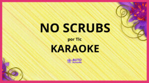 TLC - No Scrubs KARAOKE (tono original)