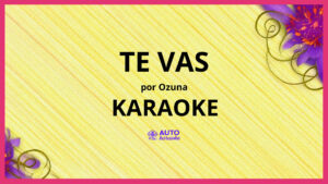 Ozuna - Te Vas KARAOKE (tono original)