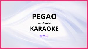 Camilo - Pegao KARAOKE (tono original)