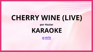 Hozier - Cherry Wine (Live) KARAOKE (tono original)
