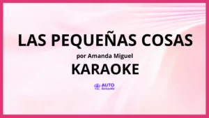 Amanda Miguel - Las Pequeñas Cosas KARAOKE (tono original)