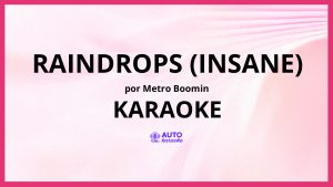 Metro Boomin - Raindrops (Insane) KARAOKE (tono original)
