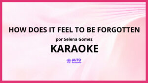 Selena Gomez - How Does It Feel To Be Forgotten KARAOKE (tono original)