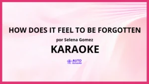 Selena Gomez - How Does It Feel To Be Forgotten KARAOKE (tono original)