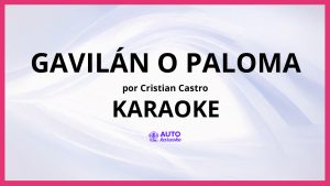 Cristian Castro - Gavilán O Paloma KARAOKE (tono original)