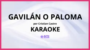 Cristian Castro - Gavilán O Paloma KARAOKE (tono original)