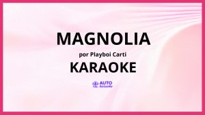 Playboi Carti - Magnolia KARAOKE (tono original)
