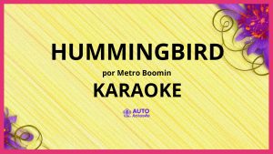 Metro Boomin - Hummingbird KARAOKE (tono original)