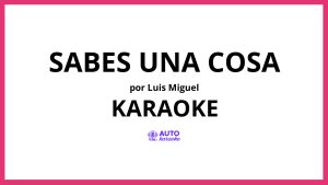 Luis Miguel - Sabes Una Cosa KARAOKE (tono original)